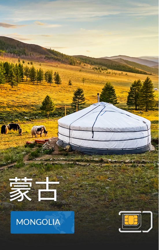 蒙古 - 4G 數據